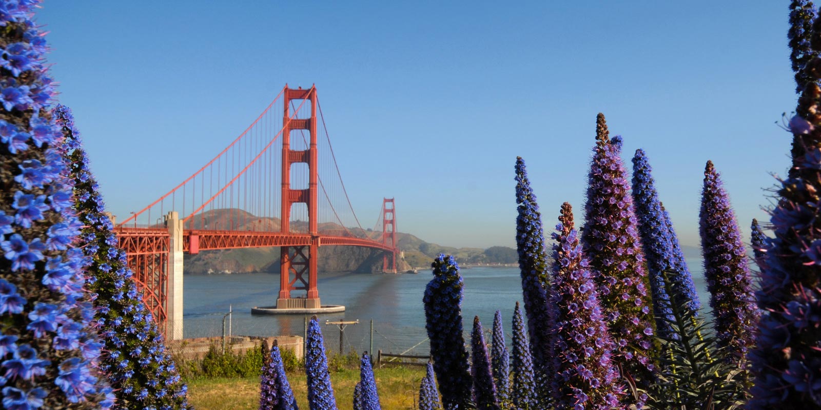 San Francisco: City by the Bay  EF Explore America